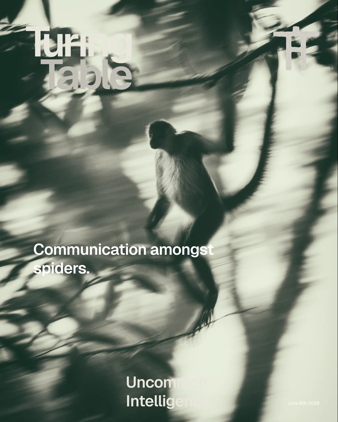 Spider monkeys mapped by sound dispatch poster.